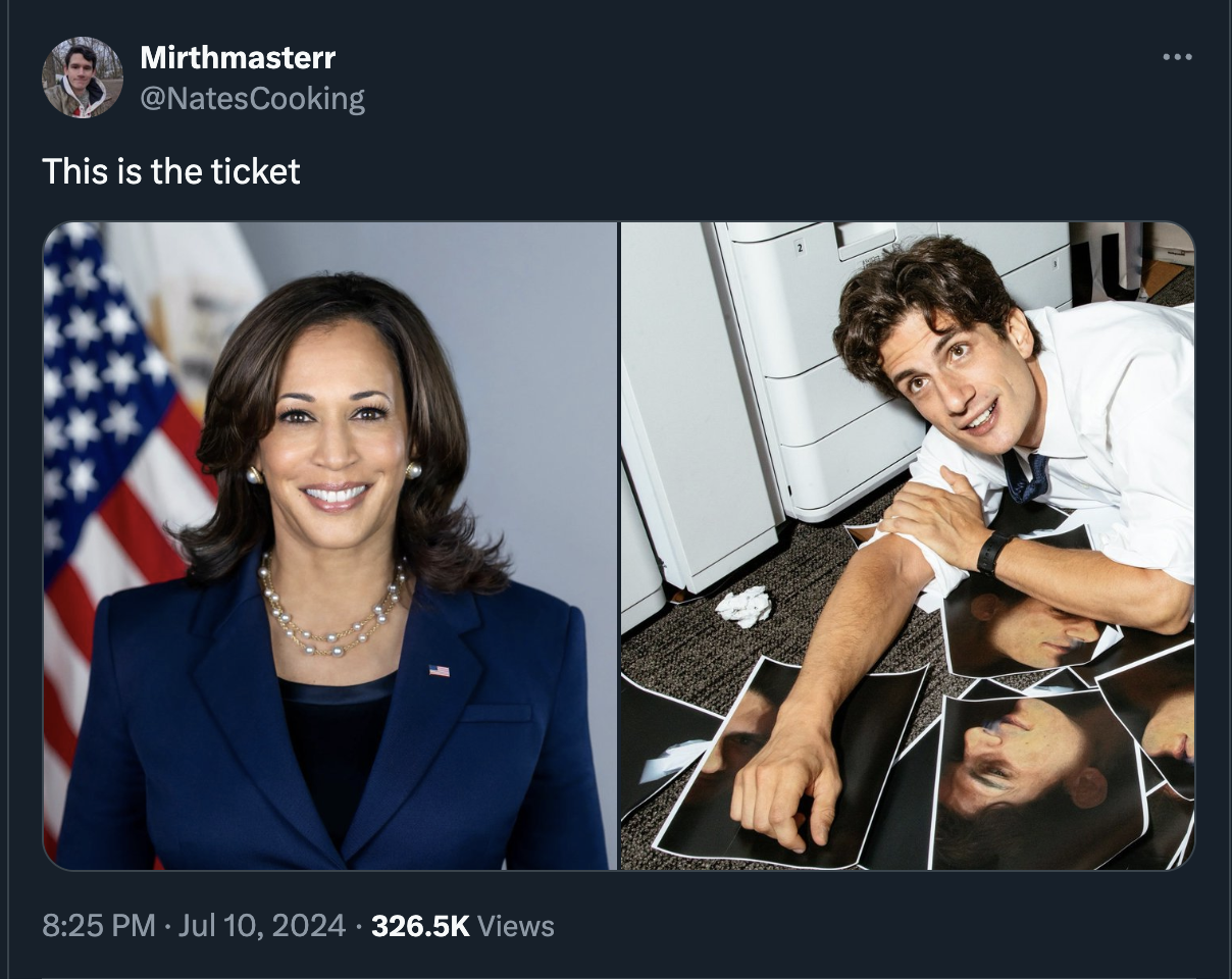 kamala harris - Mirthmasterr This is the ticket Views